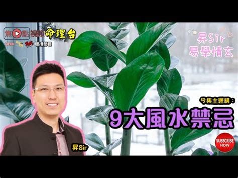 水種植物招財|【水種植物風水】水種植物風水指南：招財、旺運、提。